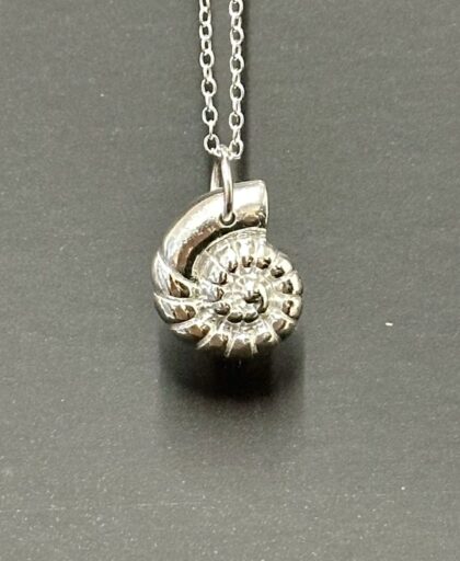 Ammonite pendant  Charm